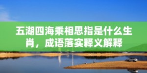 五湖四海乘相思指是什么生肖，成语落实释义解释