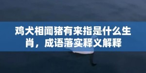 鸡犬相闻猪有来指是什么生肖，成语落实释义解释