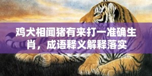 鸡犬相闻猪有来打一准确生肖，成语释义解释落实