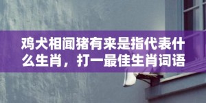 鸡犬相闻猪有来是指代表什么生肖，打一最佳生肖词语，成语释义解释落实