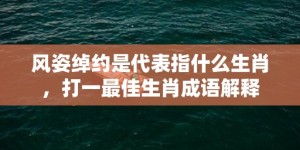 风姿绰约是代表指什么生肖，打一最佳生肖成语解释