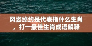 风姿绰约是代表指什么生肖，打一最佳生肖成语解释