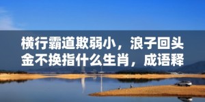 横行霸道欺弱小，浪子回头金不换指什么生肖，成语释义解释落实