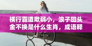 横行霸道欺弱小，浪子回头金不换是什么生肖，成语释义解释落实