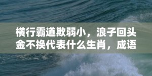 横行霸道欺弱小，浪子回头金不换代表什么生肖，成语释义解释落实