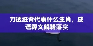 力透纸背代表什么生肖，成语释义解释落实