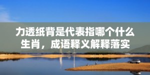 力透纸背是代表指哪个什么生肖，成语释义解释落实