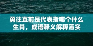 勇往直前是代表指哪个什么生肖，成语释义解释落实