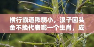 横行霸道欺弱小，浪子回头金不换代表哪一个生肖，成语释义解释落实