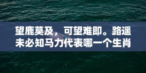 望鹿莫及，可望难即。路遥未必知马力代表哪一个生肖，成语释义解释落实