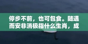 停步不前，也可包食。随遇而安非消极指什么生肖，成语释义解释落实