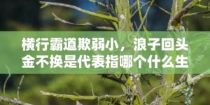 横行霸道欺弱小，浪子回头金不换是代表指哪个什么生肖，成语释义解释落实