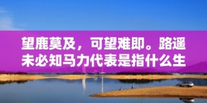 望鹿莫及，可望难即。路遥未必知马力代表是指什么生肖，成语释义解释落实