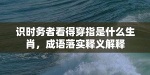 识时务者看得穿指是什么生肖，成语落实释义解释