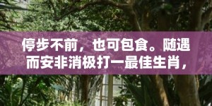 停步不前，也可包食。随遇而安非消极打一最佳生肖，成语释义解释落实