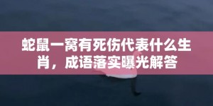 蛇鼠一窝有死伤代表什么生肖，成语落实曝光解答