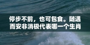 停步不前，也可包食。随遇而安非消极代表哪一个生肖，成语释义解释落实