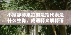 小猴静待果红时是指代表是什么生肖，成语释义解释落实