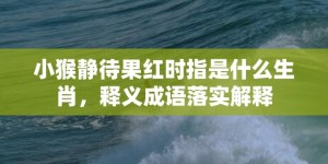 小猴静待果红时指是什么生肖，释义成语落实解释