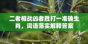 二者相战凶者胜打一准确生肖，词语落实解释答案