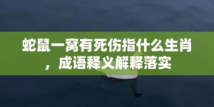 蛇鼠一窝有死伤指什么生肖，成语释义解释落实