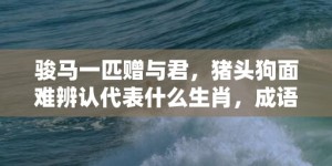 骏马一匹赠与君，猪头狗面难辨认代表什么生肖，成语释义解释落实