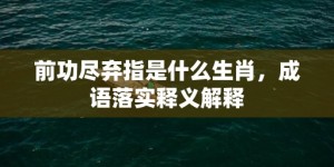 前功尽弃指是什么生肖，成语落实释义解释