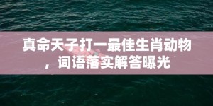 真命天子打一最佳生肖动物，词语落实解答曝光