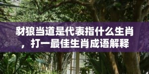 豺狼当道是代表指什么生肖，打一最佳生肖成语解释