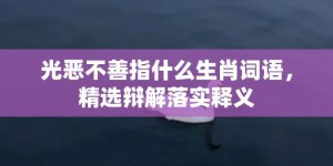 光恶不善指什么生肖词语，精选辩解落实释义