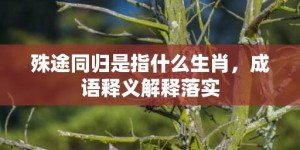 殊途同归是指什么生肖，成语释义解释落实