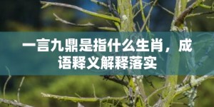 一言九鼎是指什么生肖，成语释义解释落实