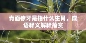 青面獠牙是指什么生肖，成语释义解释落实