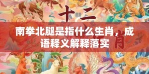 南拳北腿是指什么生肖，成语释义解释落实