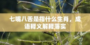 七嘴八舌是指什么生肖，成语释义解释落实