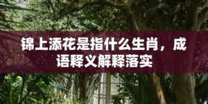 锦上添花是指什么生肖，成语释义解释落实