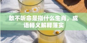 敢不听命是指什么生肖，成语释义解释落实