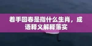 着手回春是指什么生肖，成语释义解释落实