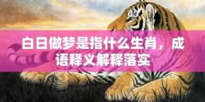 白日做梦是指什么生肖，成语释义解释落实