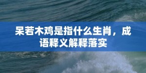 呆若木鸡是指什么生肖，成语释义解释落实