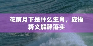 花前月下是什么生肖，成语释义解释落实