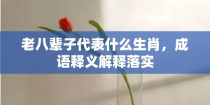 老八辈子代表什么生肖，成语释义解释落实