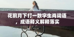 花前月下打一数字生肖词语，成语释义解释落实