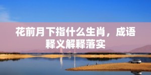 花前月下指什么生肖，成语释义解释落实