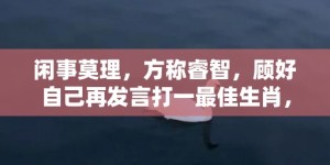 闲事莫理，方称睿智，顾好自己再发言打一最佳生肖，成语释义解释落实