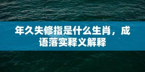 年久失修指是什么生肖，成语落实释义解释