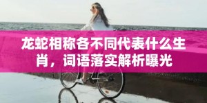 龙蛇相称各不同代表什么生肖，词语落实解析曝光