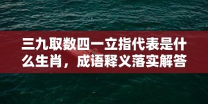 三九取数四一立指代表是什么生肖，成语释义落实解答