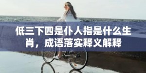 低三下四是仆人指是什么生肖，成语落实释义解释