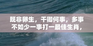 既非卵生，干卿何事，多事不如少一事打一最佳生肖，成语释义解释落实